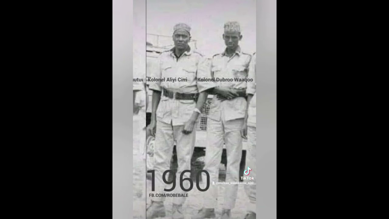 seenaa jeneraal waaqoo guutu