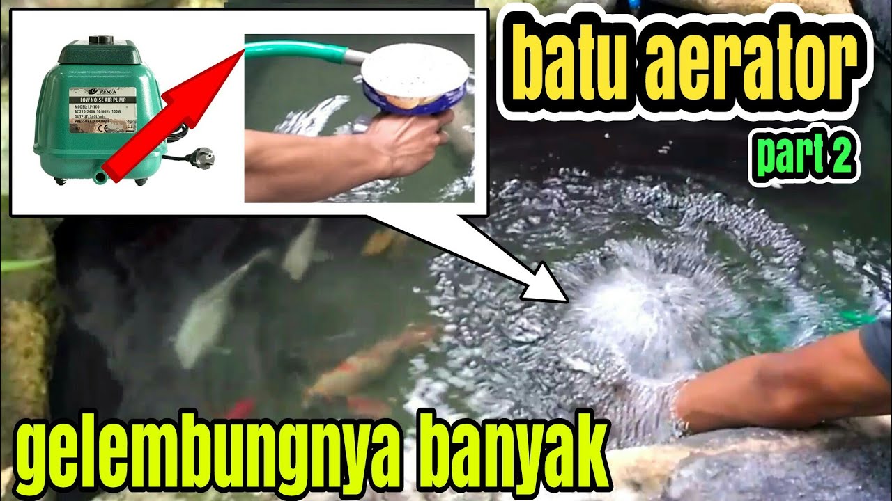 video cara mudah membuat batu aerator part 2 ( air stone )
