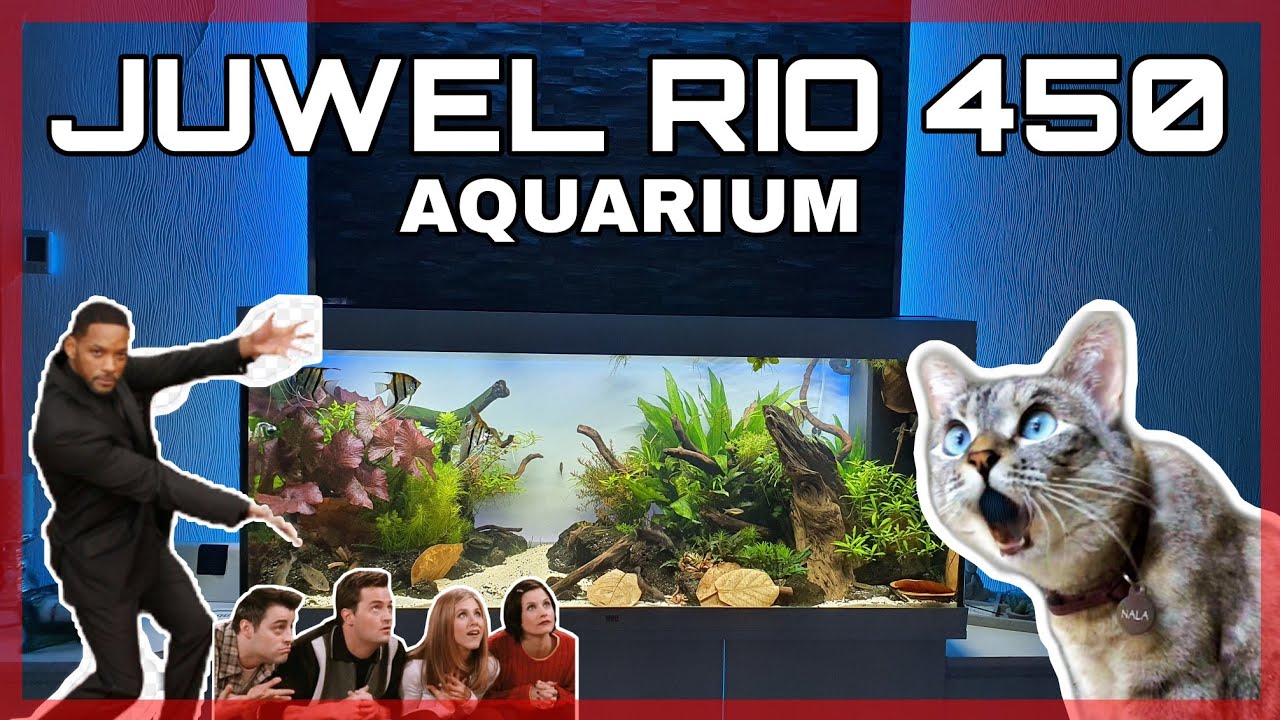 Juwel rio 450 Aquarium, Die Pflege Erklärt!