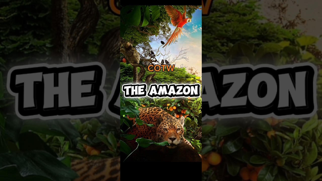 The Hunter COTW map concept (The Amazon) 🌳🐆#cotw #gaming #animals #update