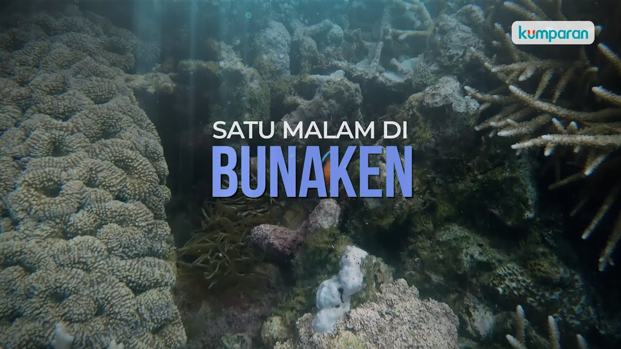 Jelajah #SerunyaIndonesia di Bunaken: Snorkeling hingga Naik Bajaj Motor