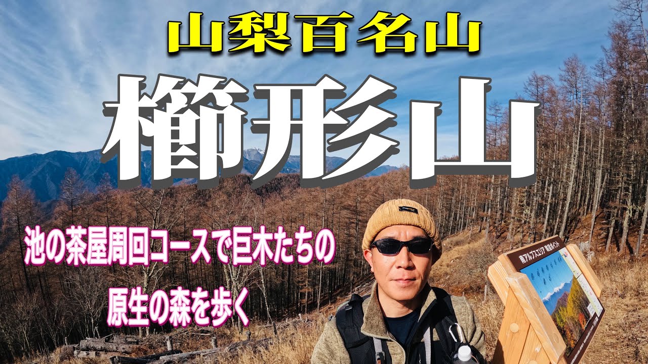 【櫛形山】 山梨百名山  山梨県富士川町  池の茶屋林道登山口〜櫛形山トレッキングコース周回