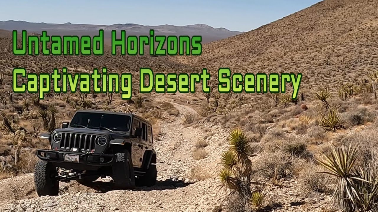 Off‑Road from Colosseum Mine for a Sunset Run Across the Mojave Desert