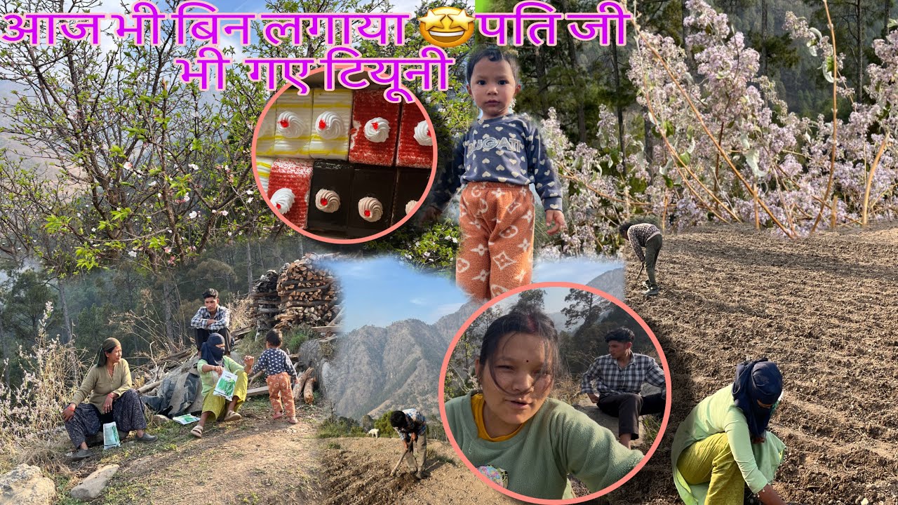 पति जी गए आज बाजार 🤷‍♀️🤩|| आज भी लगाया बिन 🫛🩷|| साथ में खाया पेस्टी 🍣🎂|| Sonali phadi Vlogs