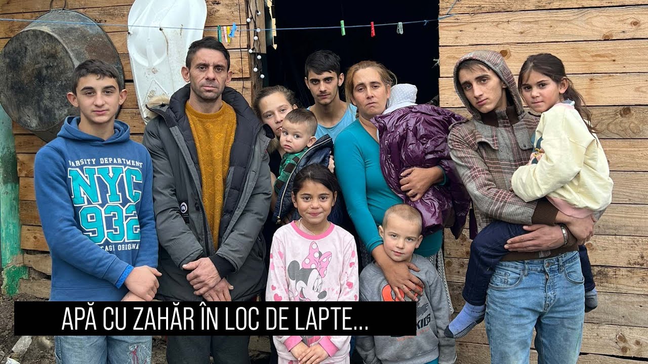 Apă cu zahăr în loc de lapte! | Vacă pentru 9 copii
