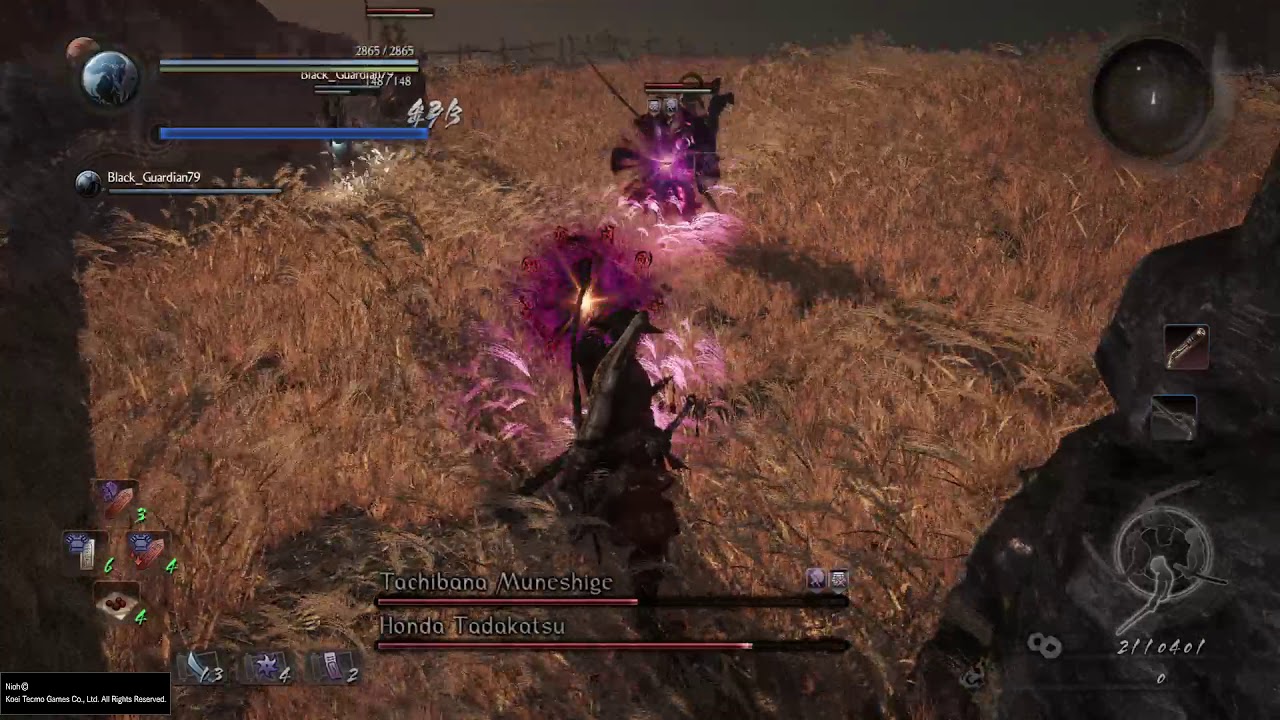 Nioh Yokai Realm Companion Co-op