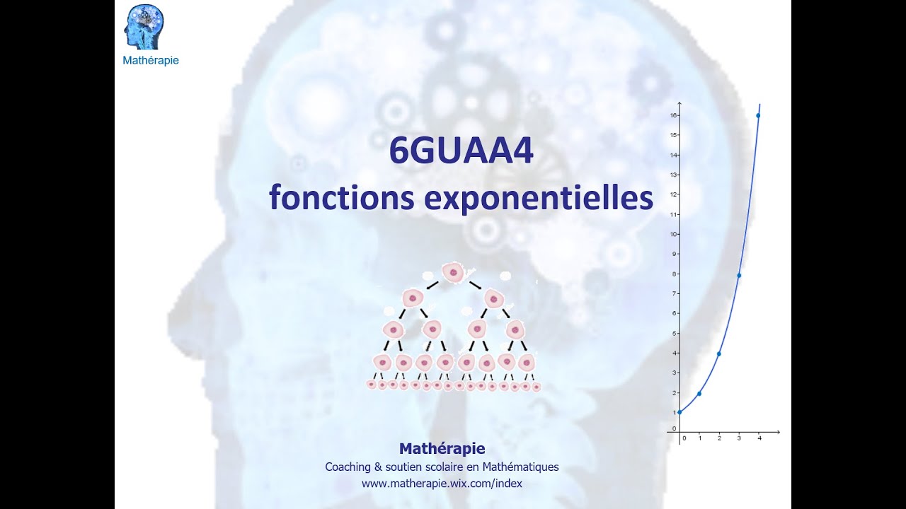 6GUAA4 Fonctions exponentielles