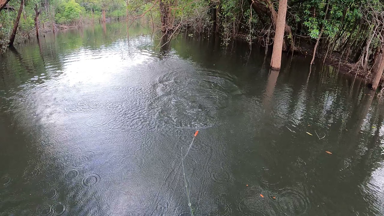 Pesca Matupiri Out 21 Ataque 2