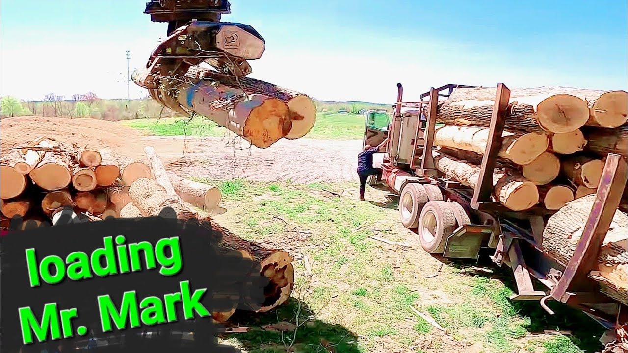 Loading out big logs with Cat excavator🏗