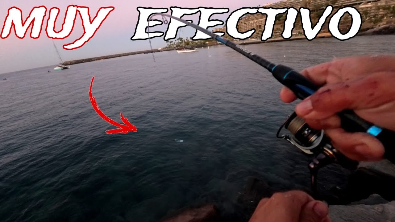 Pesca en PUERTO con  NUEVO Señuelo: La clave para la pesca exitosa