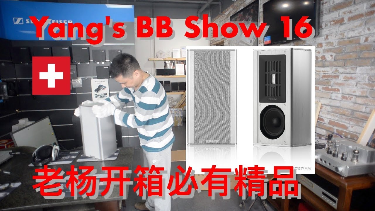 悠扬之声-老杨开箱必有精品！瑞士品歌PIEGA顶级音箱coax311开箱
