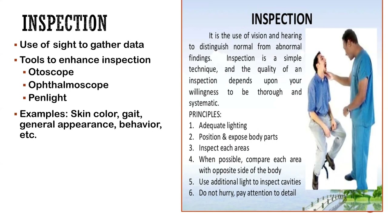 Physical Assessment | Nursing Fundamentals (Lecture for Nursing Students)