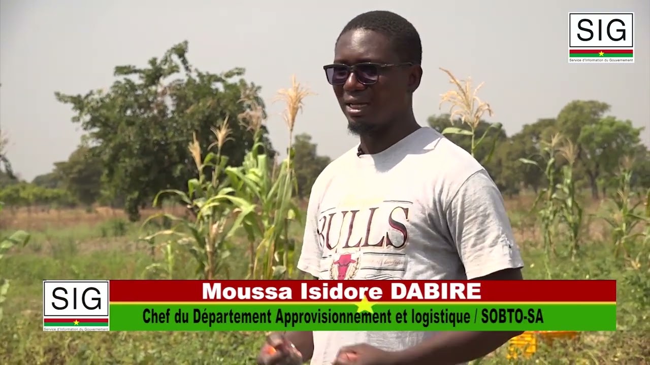 La SOBTO salue l' engagement des producteurs de tomate de Mawana dans la commune de kouka