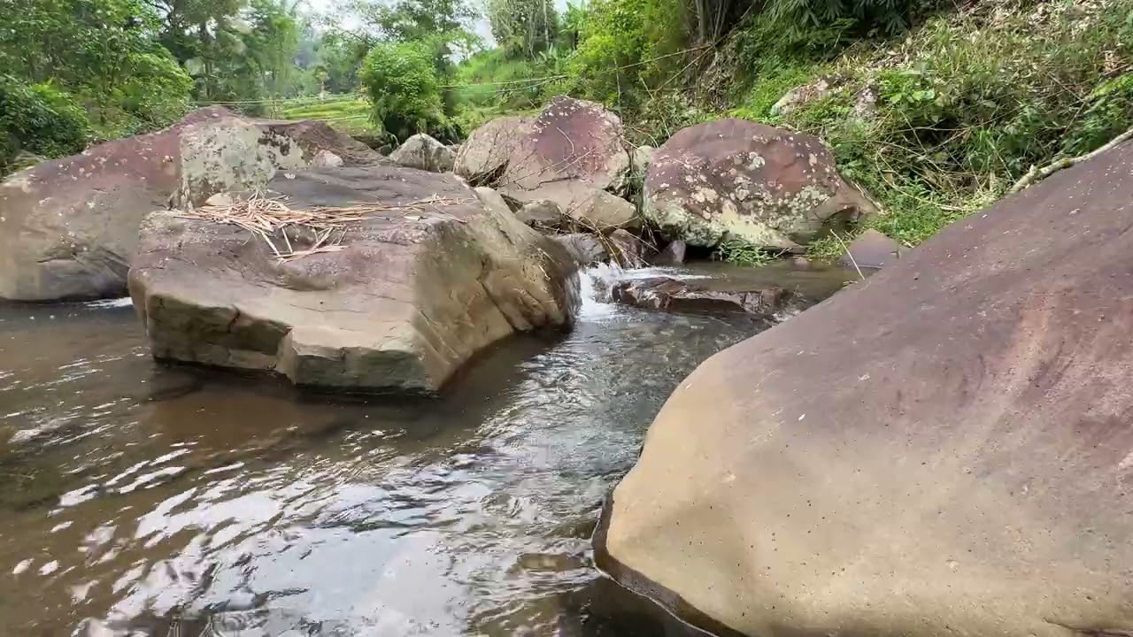 Relaxing Soothing River Sounds Near a Beautiful Small Waterfall in the Rocky Mountains