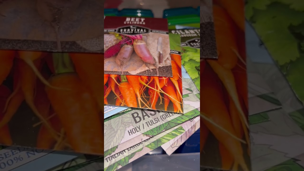 Seed haul and new seed storage…(I ran out of room for seeds😂)