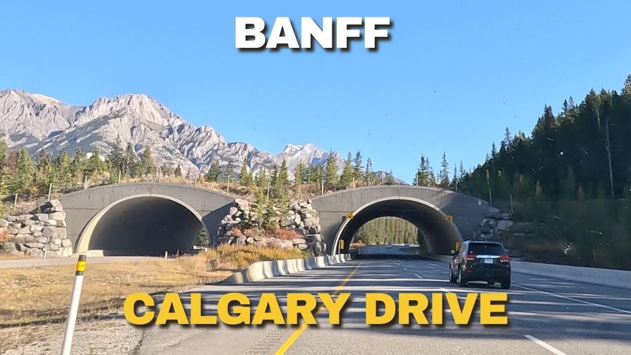 ROAD TRIP from CALGARY to BANFF: Full Autumn Drive #drive #calgary #banff #lakelouise