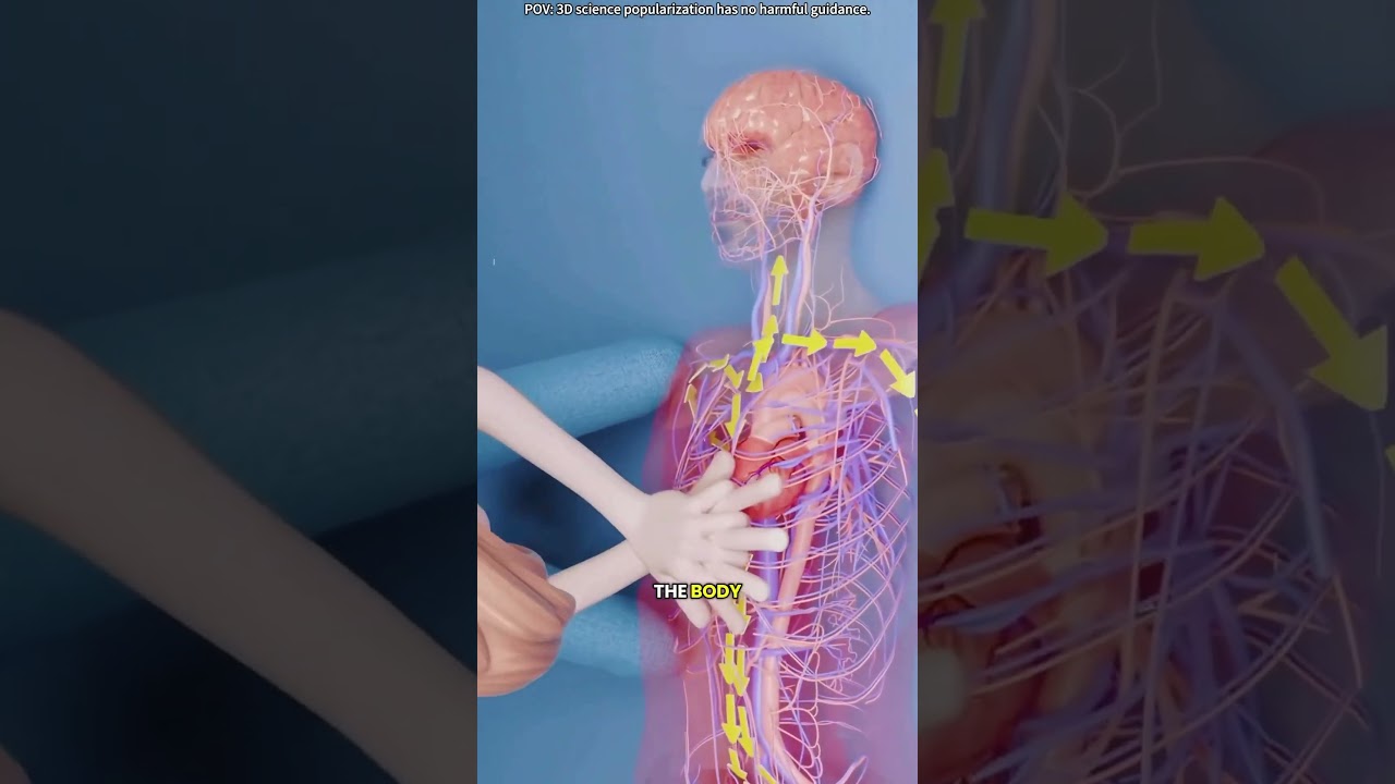CPR life saving procedure 3D animation