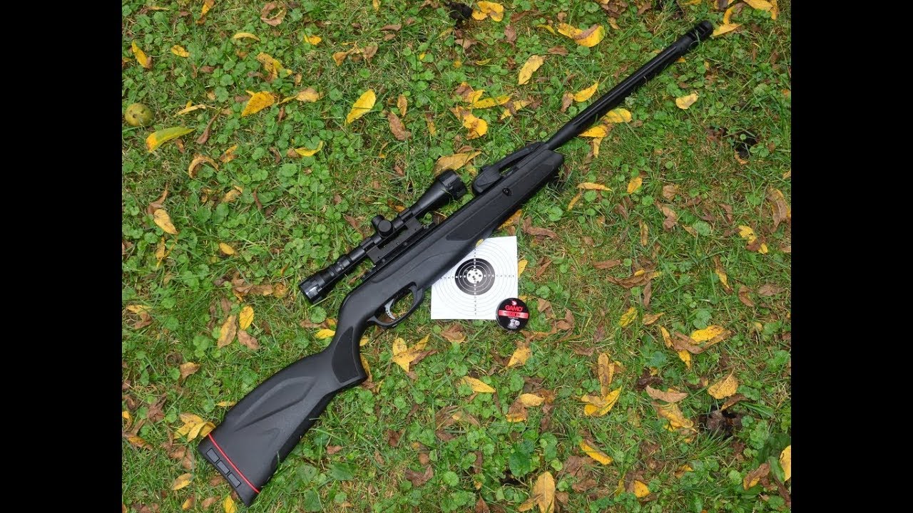Gamo Swarm Maxxim