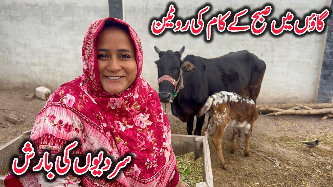 Gaon Main Subah Ky Kaam || Sardion Ki Barish🌧️ || Misbah Sajjad Vlogs