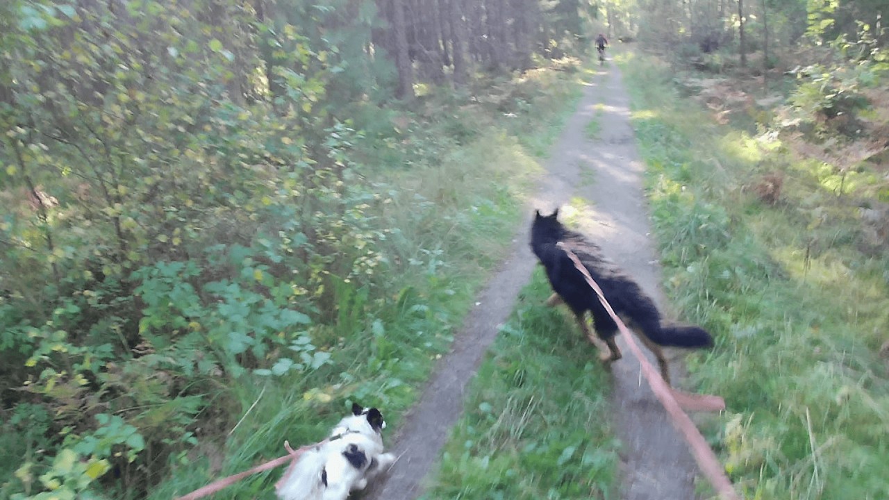 Moving day Charlottenberg next and job Ep57