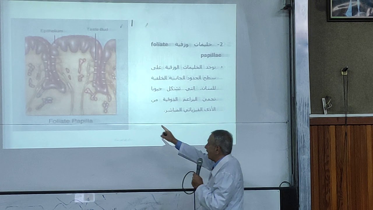 التذوق الجزء1