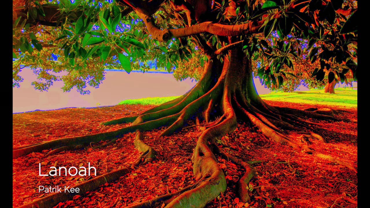 Patrik Kee Kedzierski - LANOAH (relaxační uzemnění) deep relaxation LIVE ON BOSS RC 505