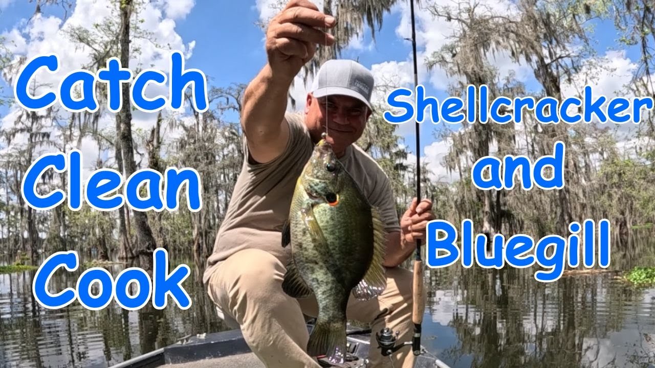 Shellcracker and Bluegill (Catch * Clean * Cook)