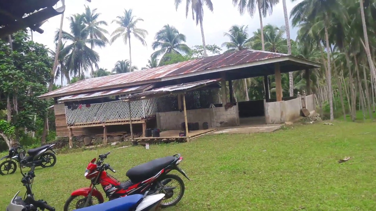 IDPs From Sapie PS in Langgal Puti'