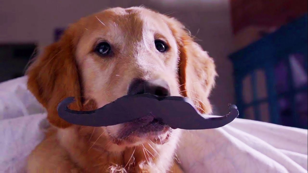 Enhance Every Moment with the New Samsung Galaxy J7+