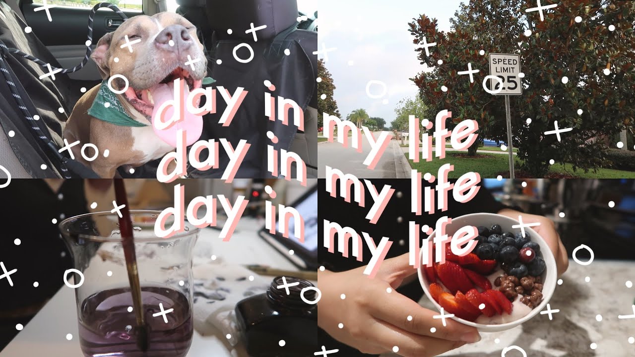 chill day in my life | summer break @ northeastern uni, self care, chillin with max
