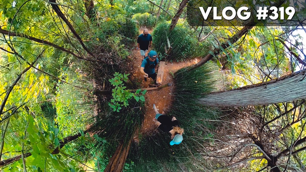 VLOG 