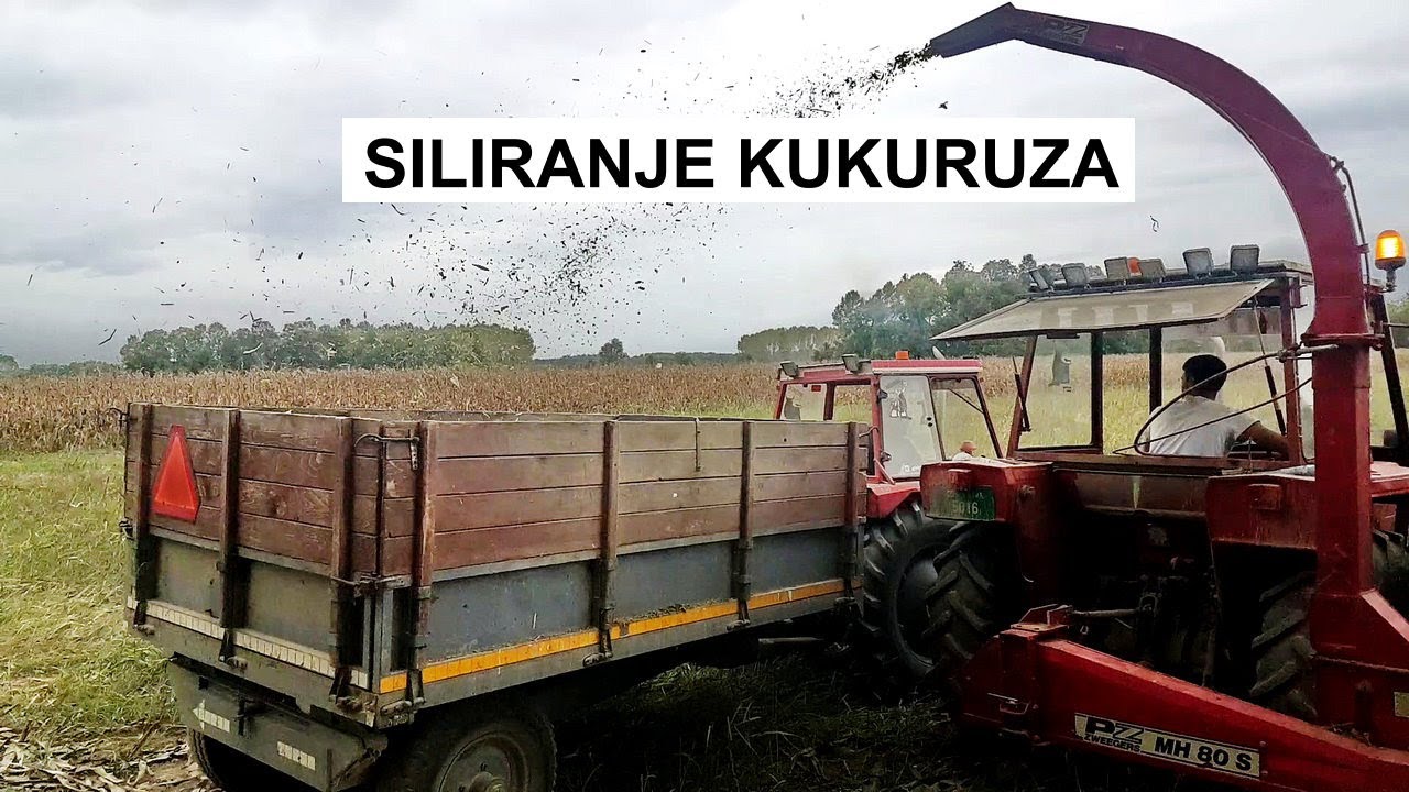 Siliranje kukuruza  IMT 560