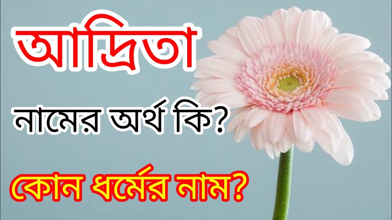 What is the meaning of the name Adrita? | Adrita namer orrth ki |