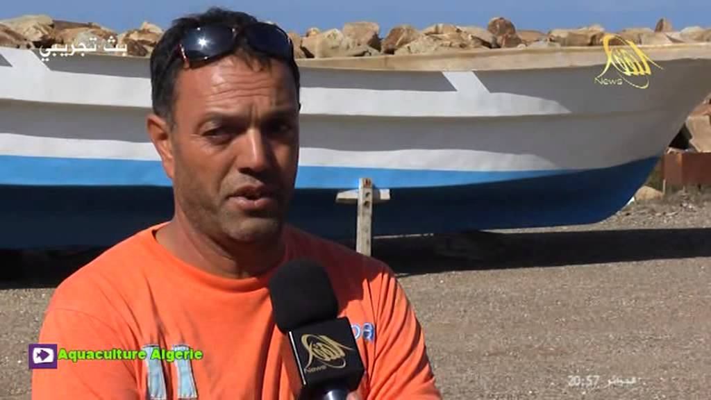 الجزء الثاني : شراكة جزائرية كورية لانتاج وتصليح سفن الصيد البحري بتيزي وزو