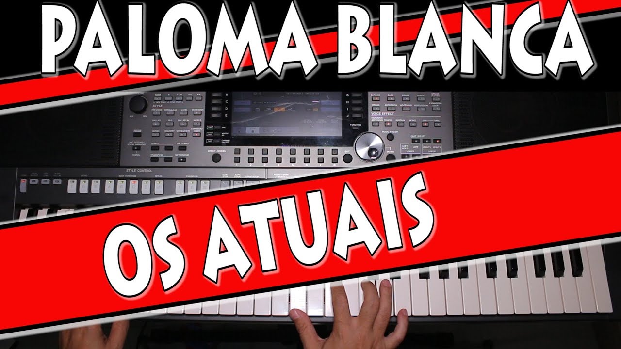 PALOMA BLANCA - OS ATUAIS - VÍDEO AULA
