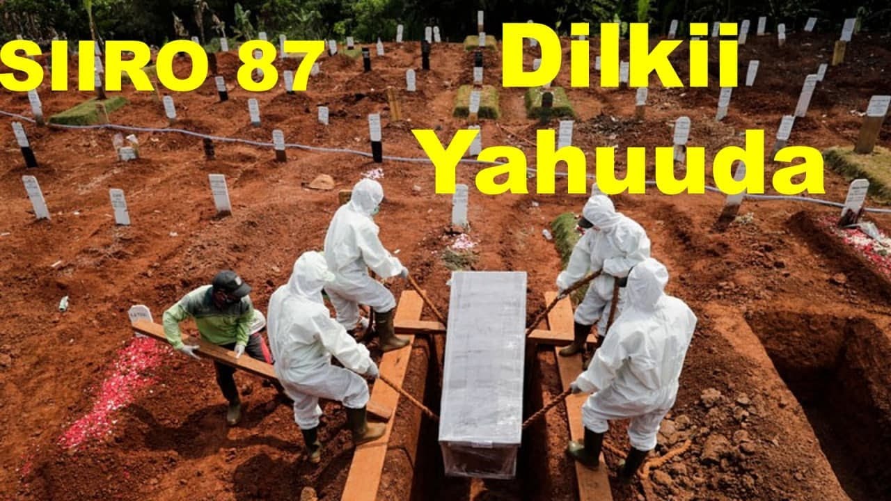 SIIRO 87 | Dilkii Ree Banu Qurayda maxaa looga qaylyaa?