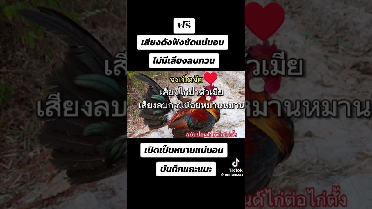 3 มีนาคม ค.ศ. 2026