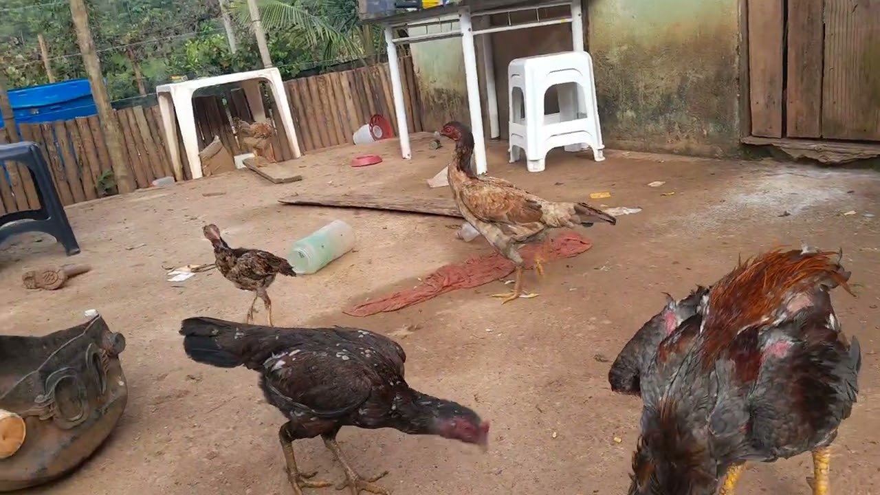 9 de março de 2026