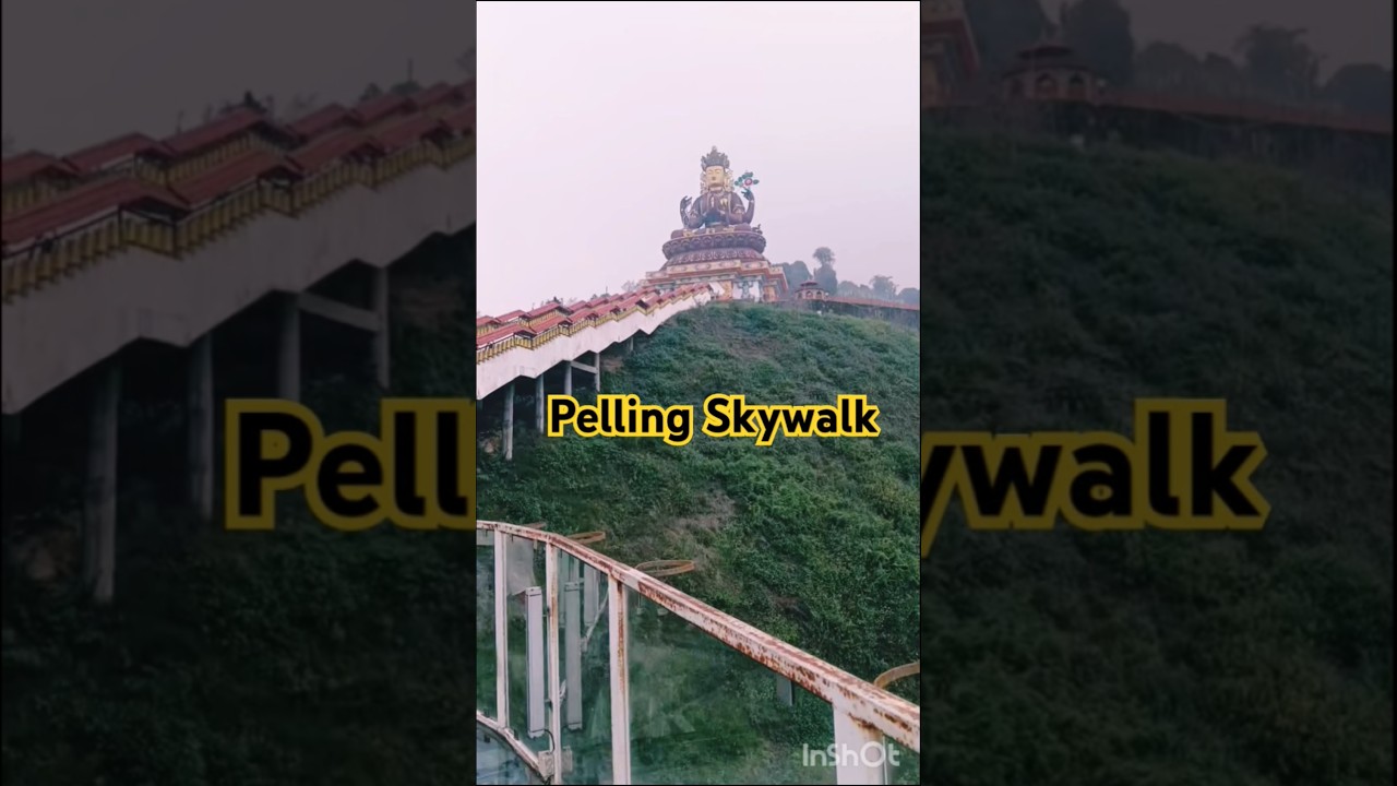 Pelling Skywalk: A Walk Above the Himalayas! 🏞️ 