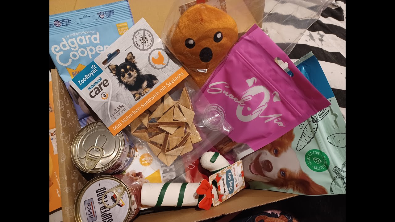 Zooroyal X-Mas Schatzkiste für Hunde 🐕🎄 Unboxing 💙 | Hundebox Test | 🐺 Husky Goraidh 🐾