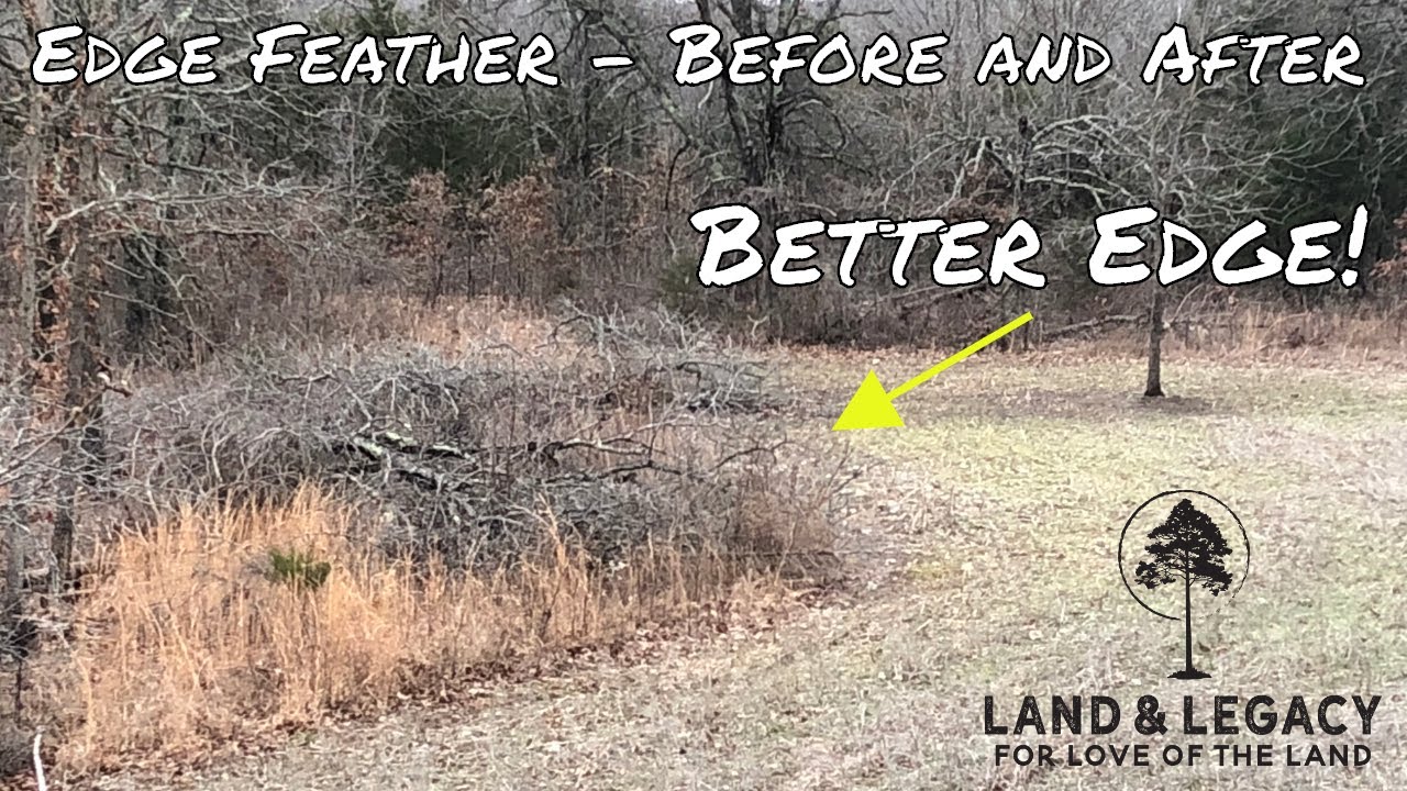 Edge Feathering - Before and After Results