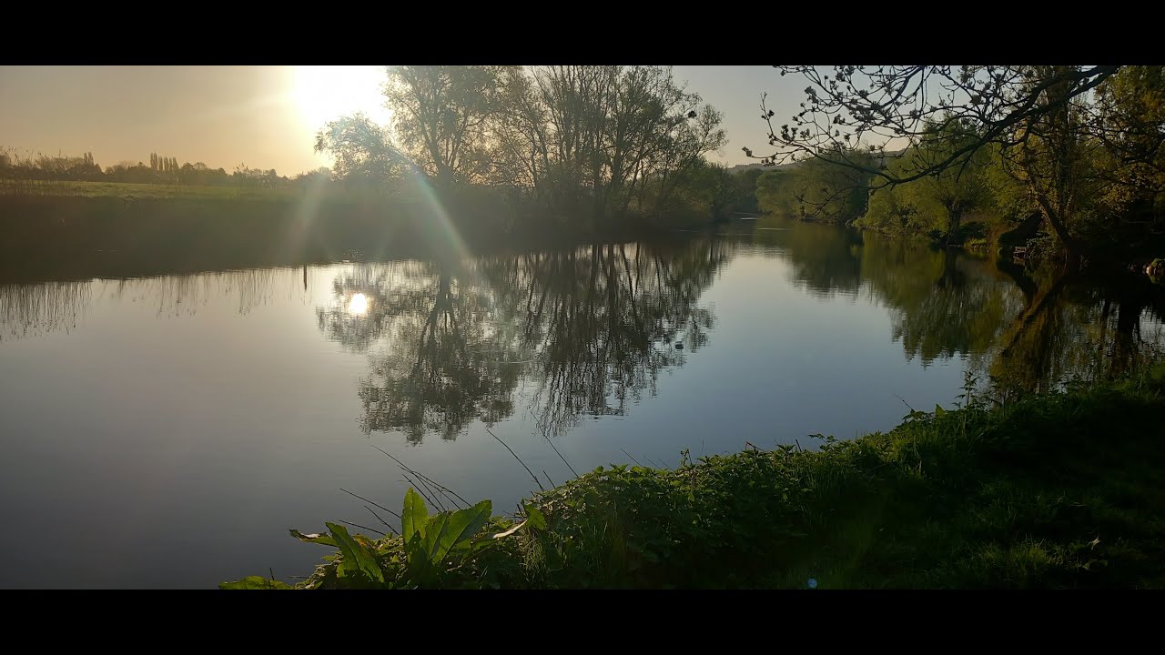 Gentle Stream and Nature Sounds for Sleep or Relaxing