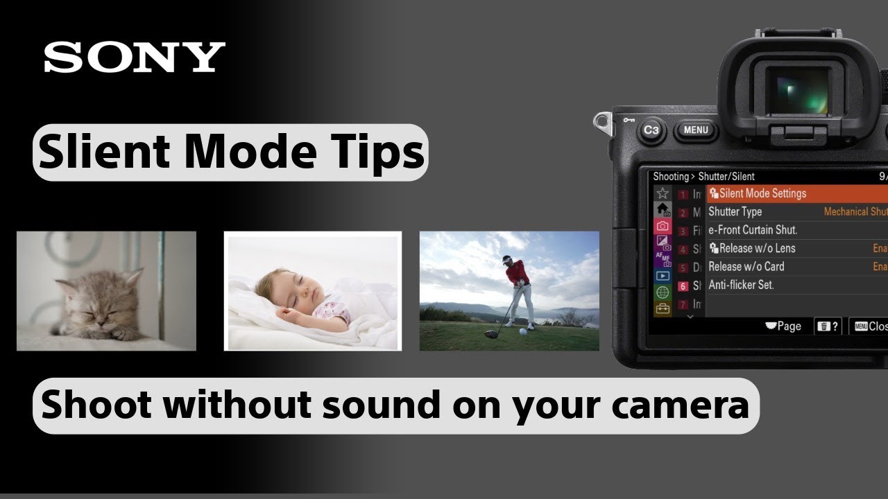 Sony Alpha: Autofocus - Silent Shooting | Sony LIVE - Simplified