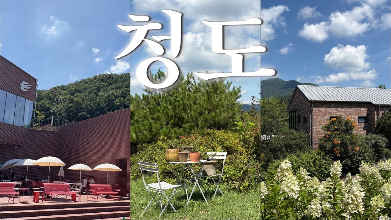 당일치기 청도여행 +(근데 이제?) 대구를 살짝 곁들인...