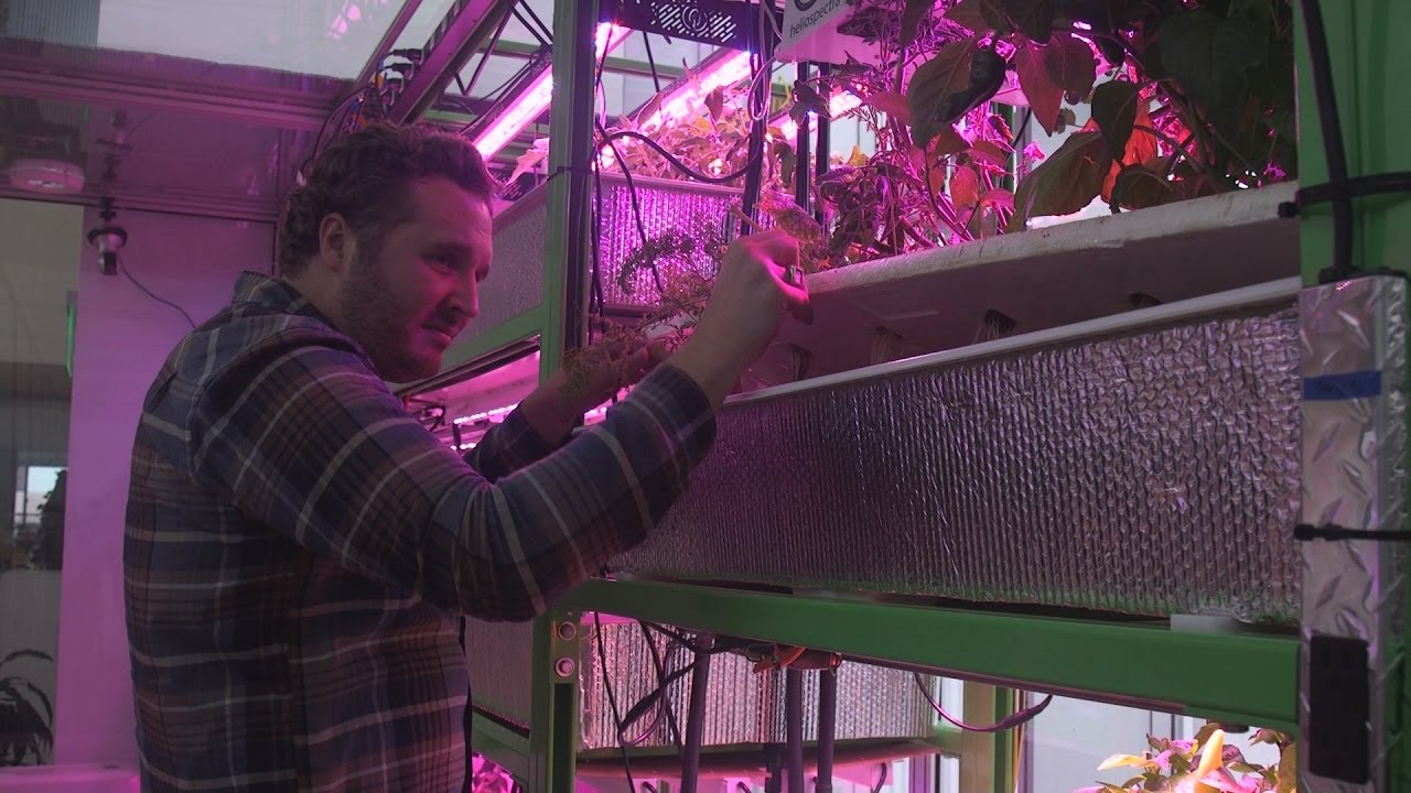 How This Food Computer Will Allow Anyone to Be a Farmer