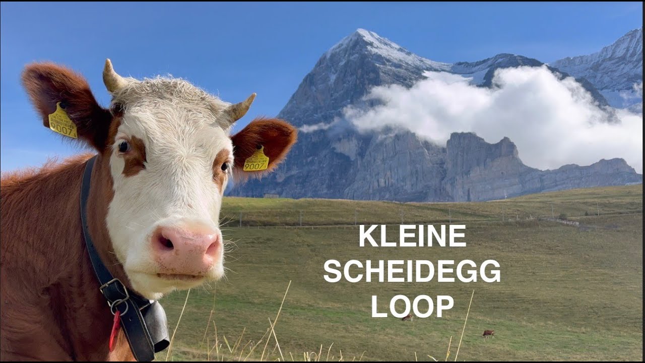 Swiss Mountain Pass | Kleine Scheidegg | E-MTB