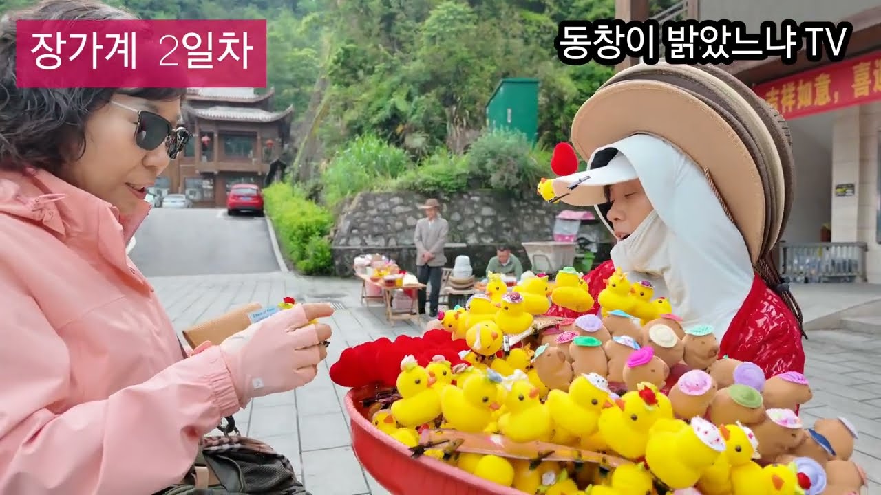 장가계 /회갑기념여행/25년4월29~5월3일/