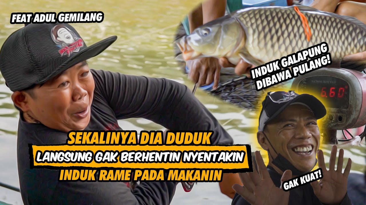 ADUL KELUARIN SKILLNYA! BUKAN CUMA JORANNYA AJA DISIKSA TEMENNYA JUGA!! GALAPUNG INDUK BAWA PULANG !