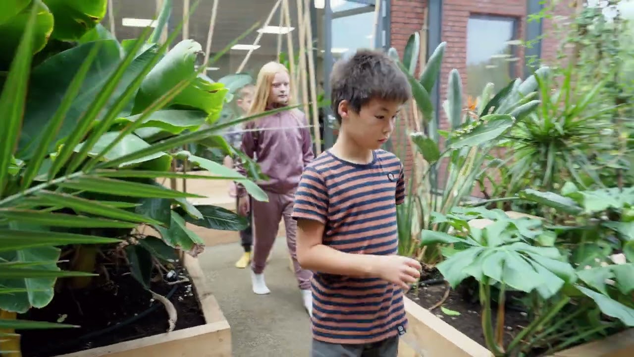 Lindbjergskolen video
