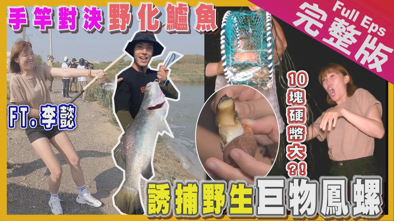 【南台灣】大來賓李懿｜手竿對決野話巨鱸/野生大鳳螺/全台唯一咖啡鵝蛋/東埔溫泉《世界第一等》1083集 完整版 Taiwan EP. 1083 EngSub
